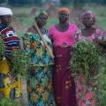 Empowering Rural Communities Through Agribusiness Innovation